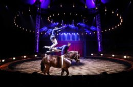 Cirque Gruss - © Eloise Vene